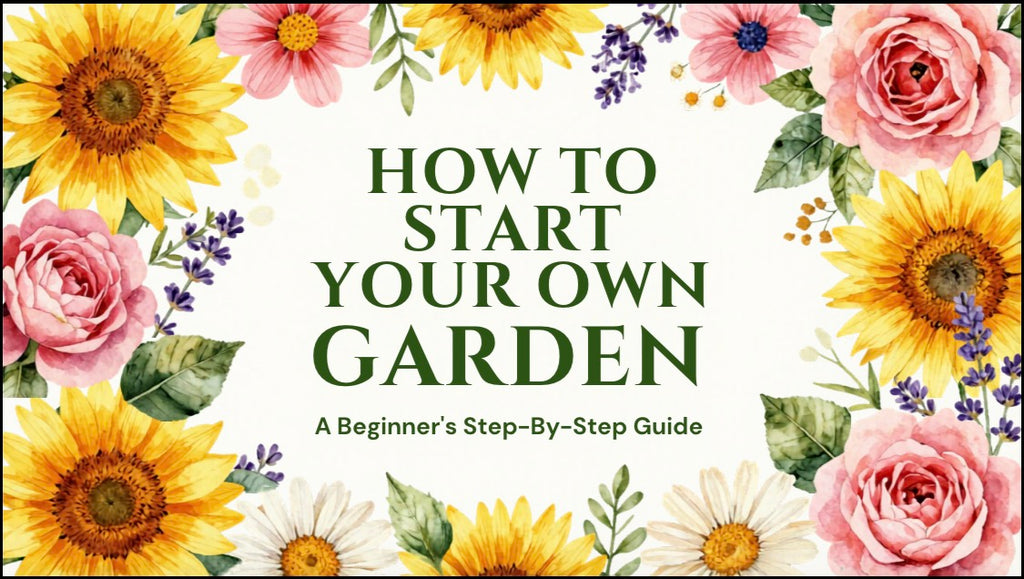 A step-by-step guide to start your own garden